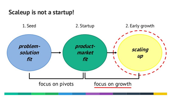 scaleUp 01